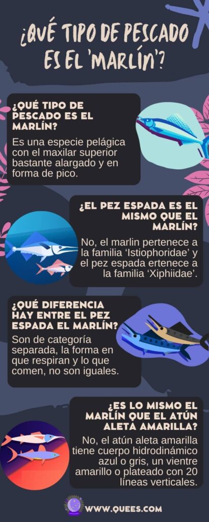 infografia pez marlin
