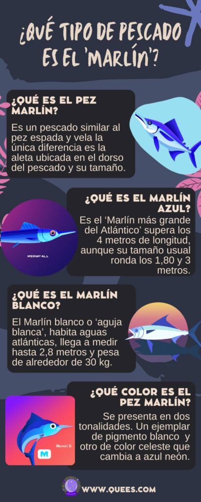infografia pez marlin