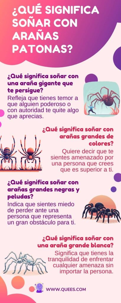infografia soñar arañas patonas