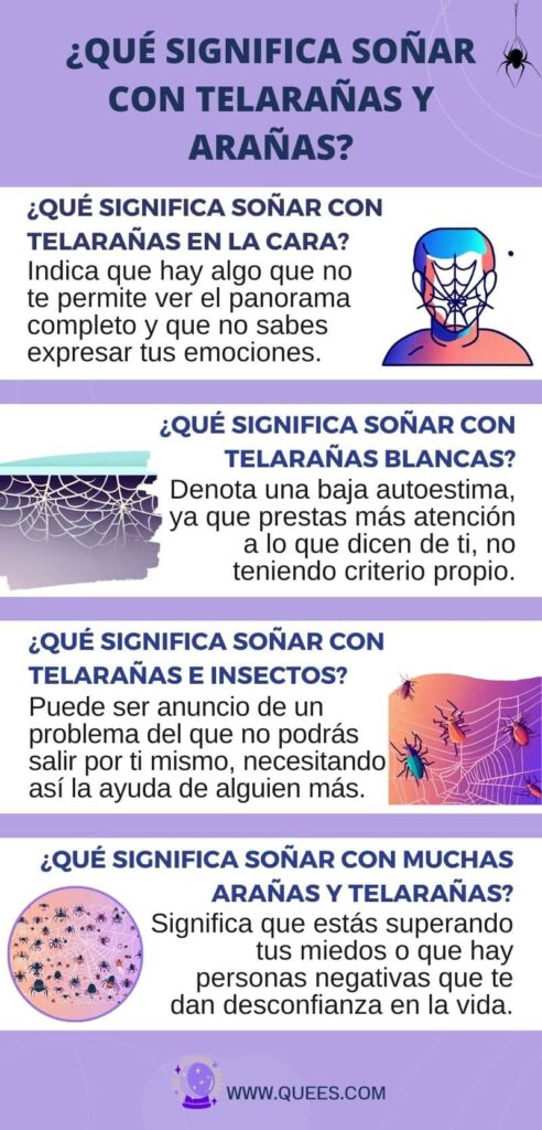infografia sonar arañas telarañas