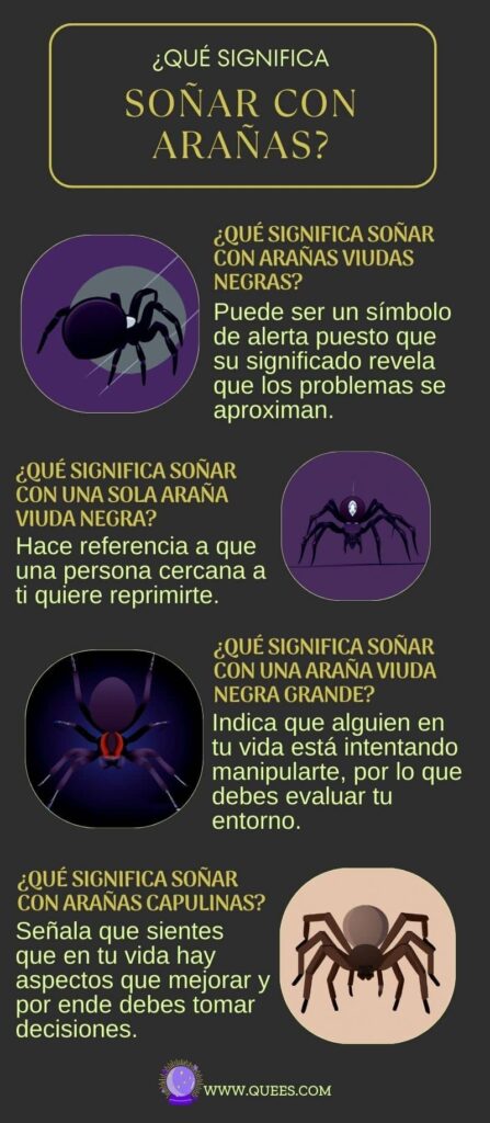 infografia soñar arañas