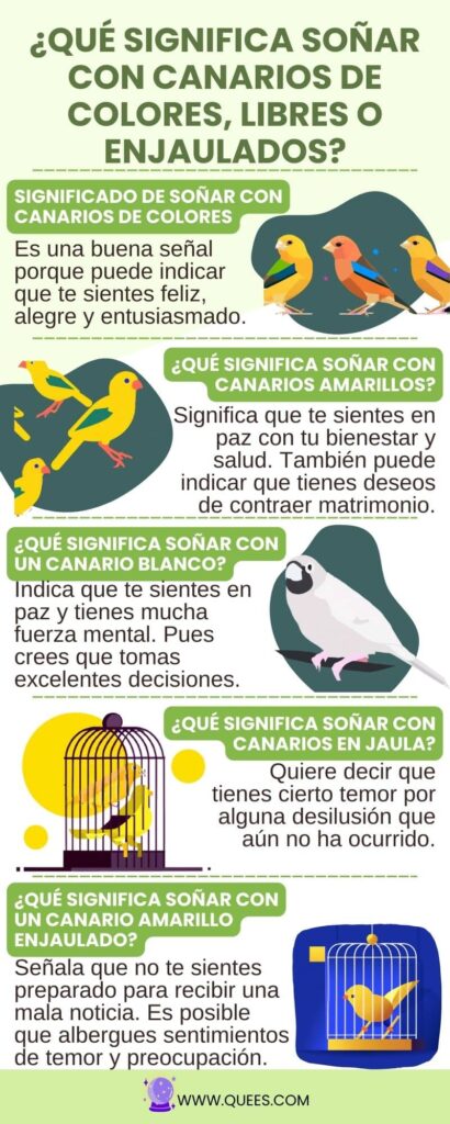 infografia soñar canarios