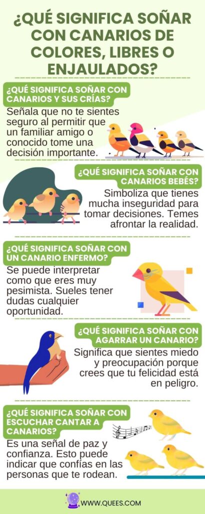infografia soñar canarios