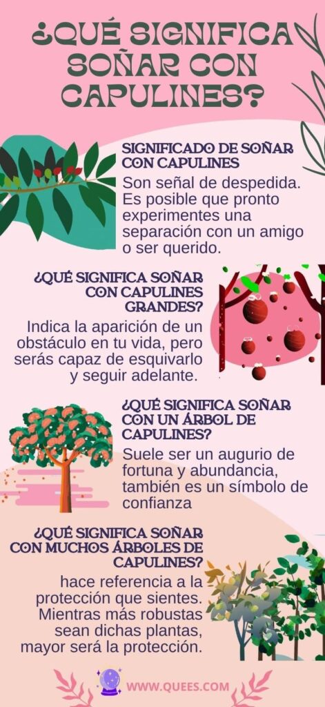 infografia soñar con capulines