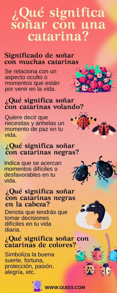 infografia sonar catarinas
