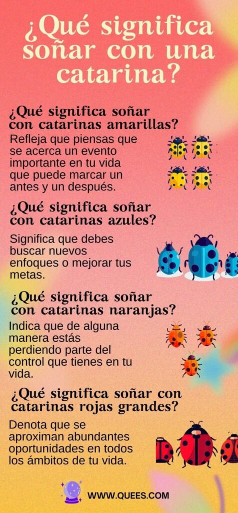 infografia sonar catarinas