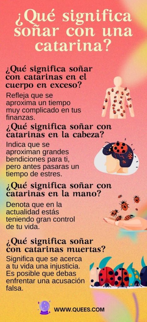 infografia sonar catarinas