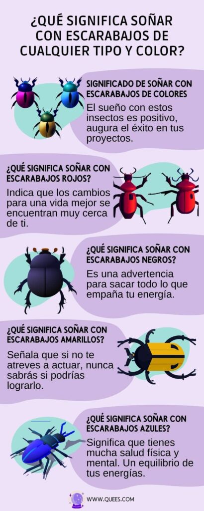 infografia soñar escarabajos