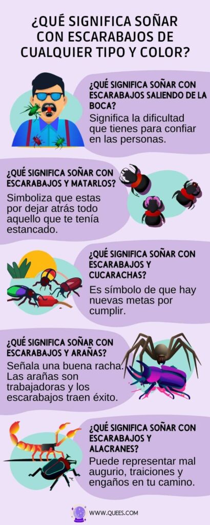infografia soñar escarabajos