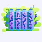 que es MFC en quimica