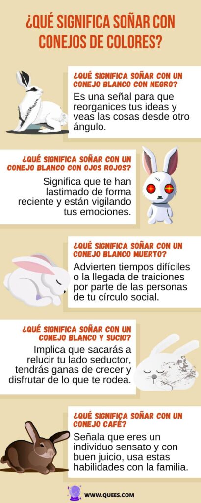 infografia soñar conejos