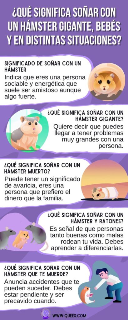 infografia soñar hamster