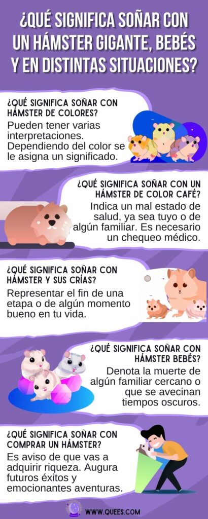 infografia soñar hamster