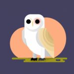 soñar con lechuzas blancas