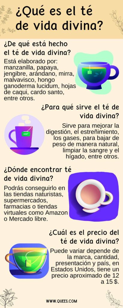 infografia te vida divina