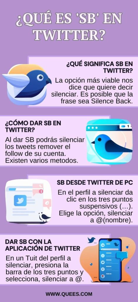 infografia sb twitter