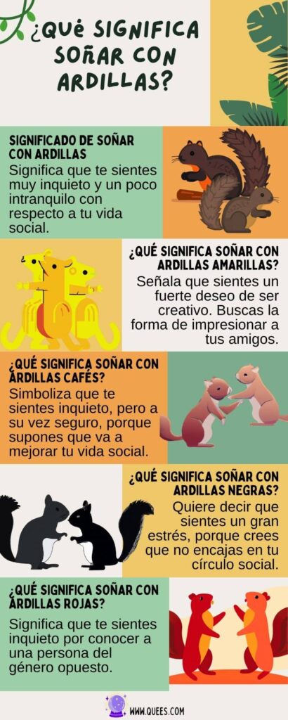 infografia soñar ardillas