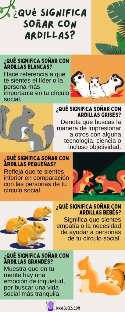 infografia soñar ardillas