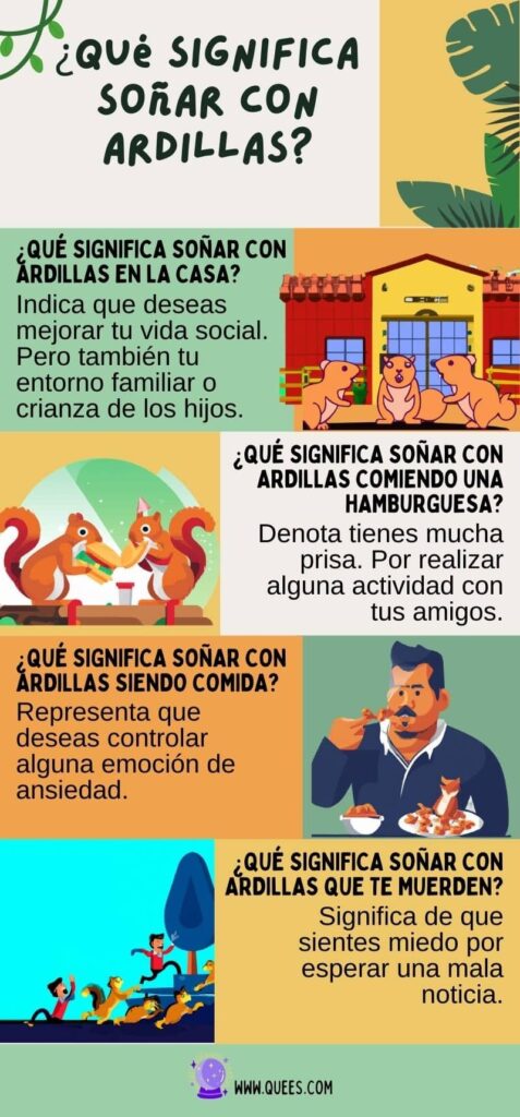 infografia soñar ardillas