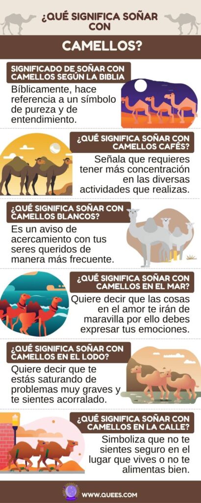 infografia soñar camellos