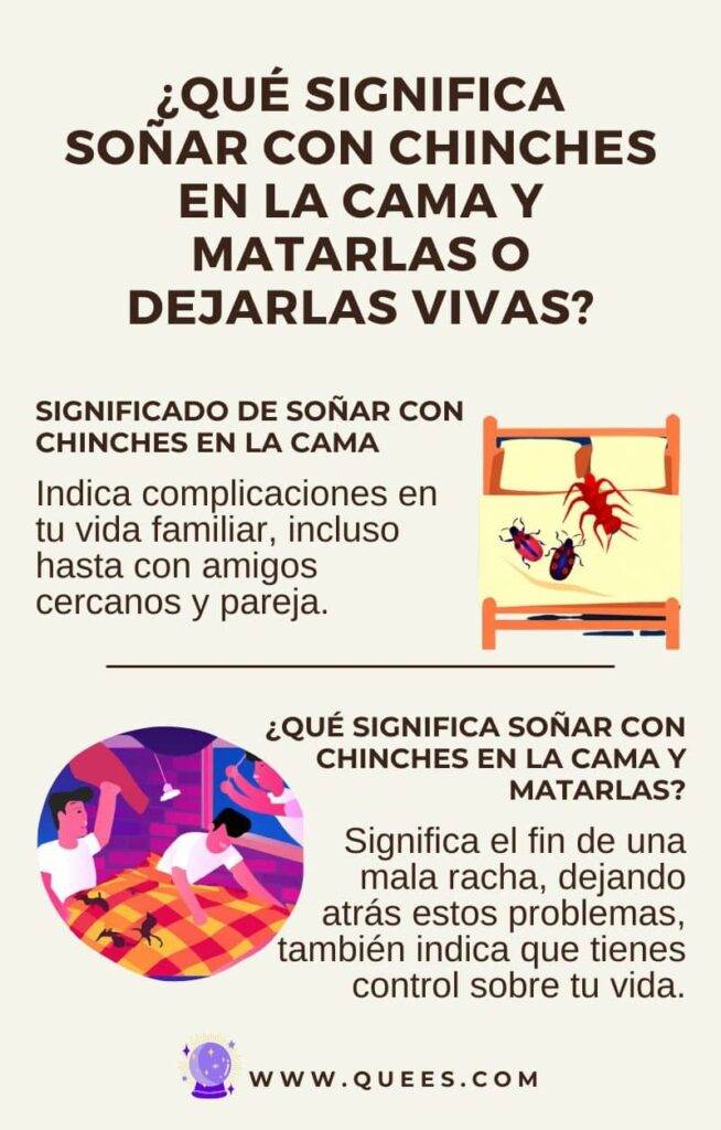 infografia soñar chinches