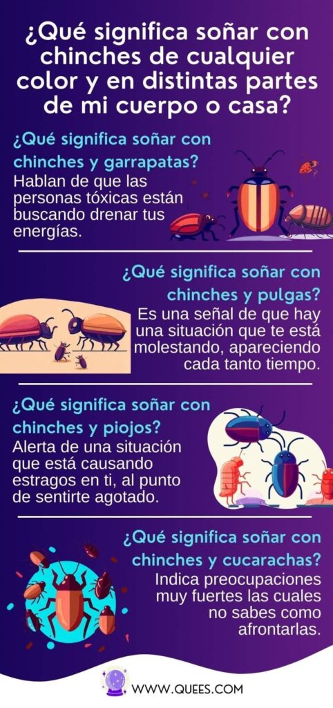 infografia soñar chines  en cuerpo y casa
