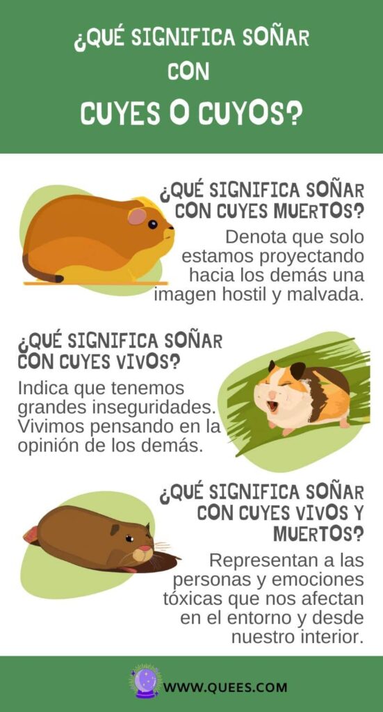 infografia soñar cuyes