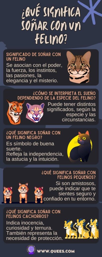 infografia soñar felinos