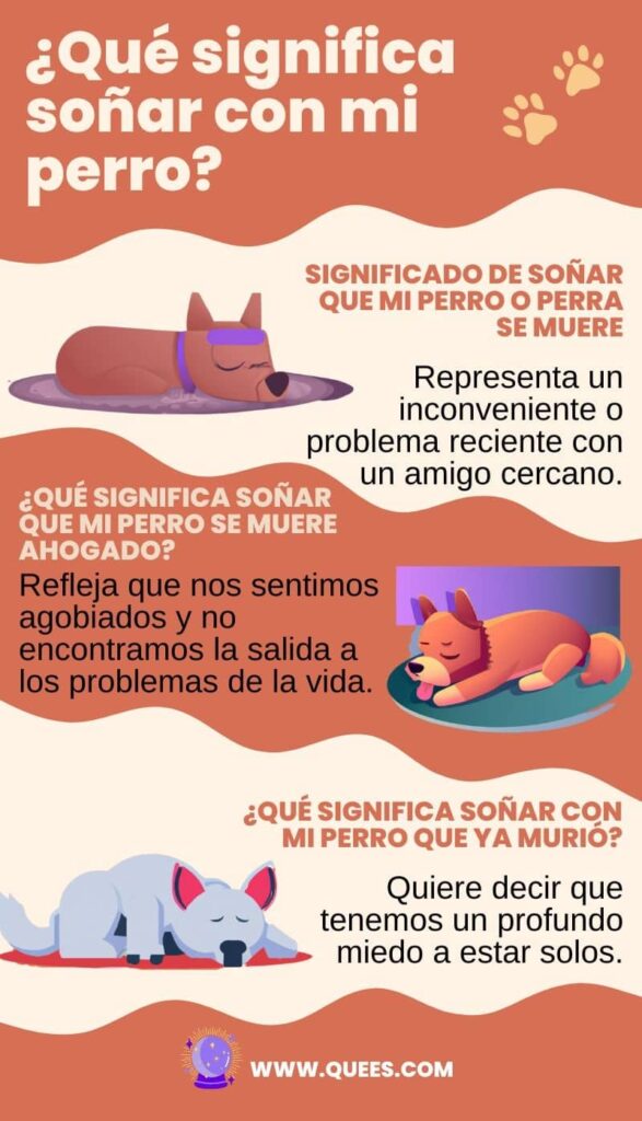 infografia soñar perro