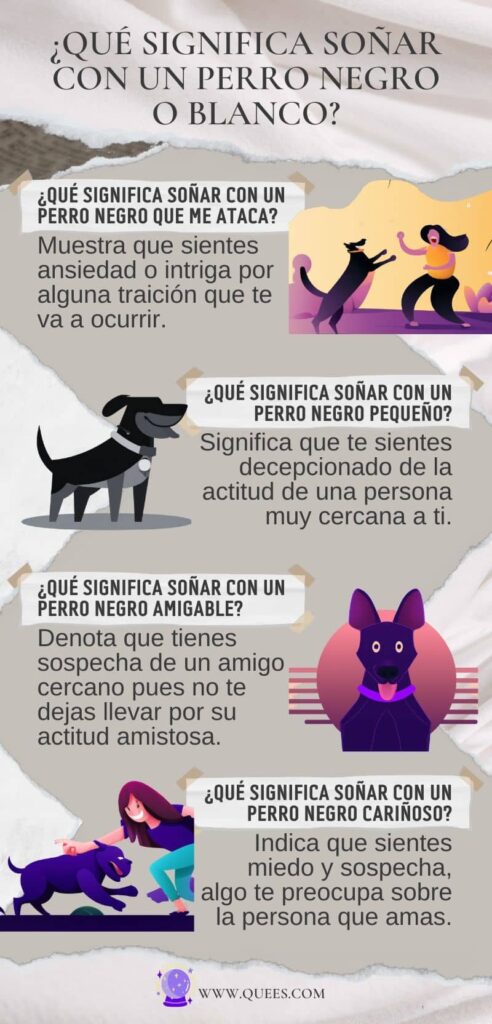 infografia soñar perro negro