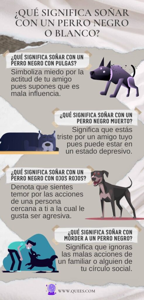 infografia soñar perro negro