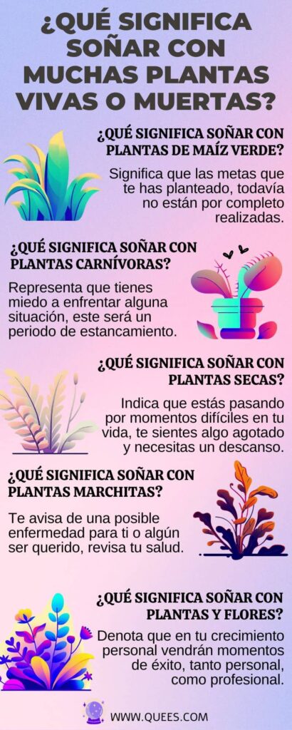 infografia sonar plantas
