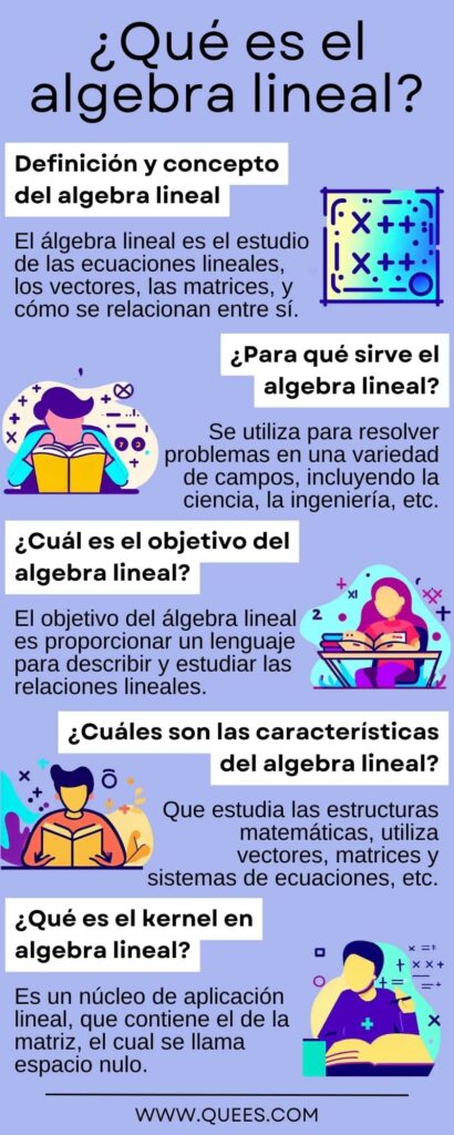 infografia algebra lineal