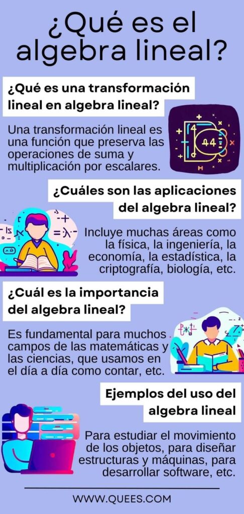 infografia algebra lineal