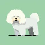 que es animal domestico