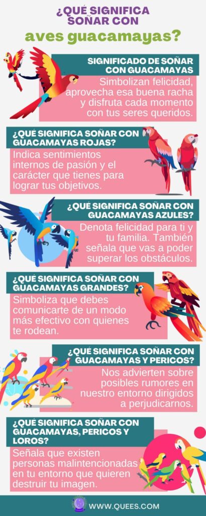 infografia soñar guacamayas