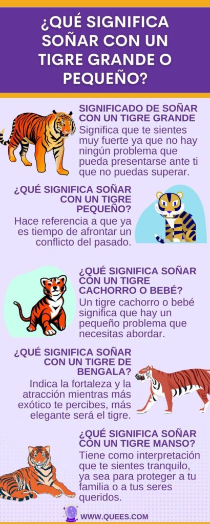 infografia soñar tigres