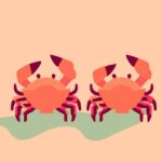 Qué es un crustáceo