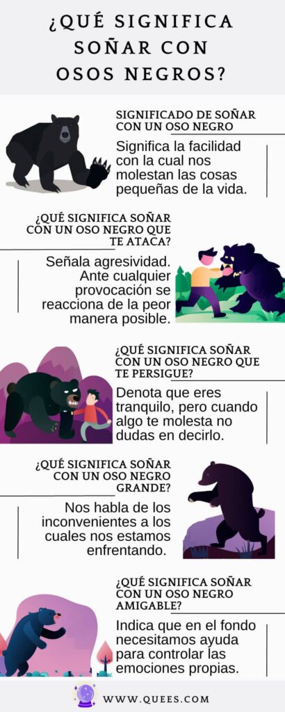 infografia sonar oso negro