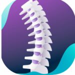 Qué es columna vertebral