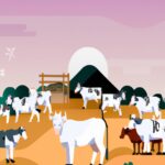 Qué es un hato ganadero