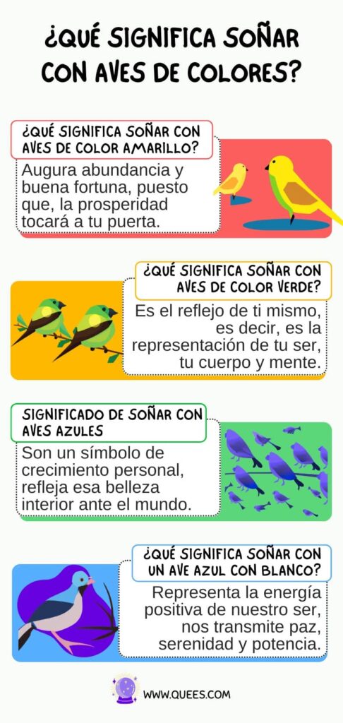 infografia soñar aves de colores
