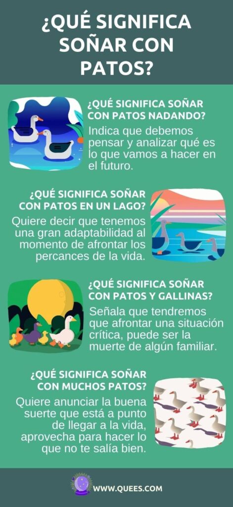 infografia soñar patos
