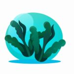 Qué es un organismo pluricelular