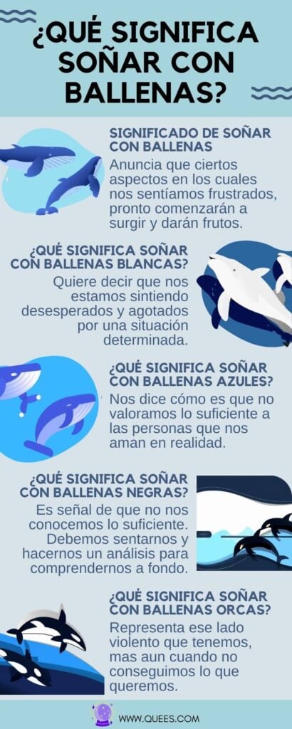 infografia soñar ballenas