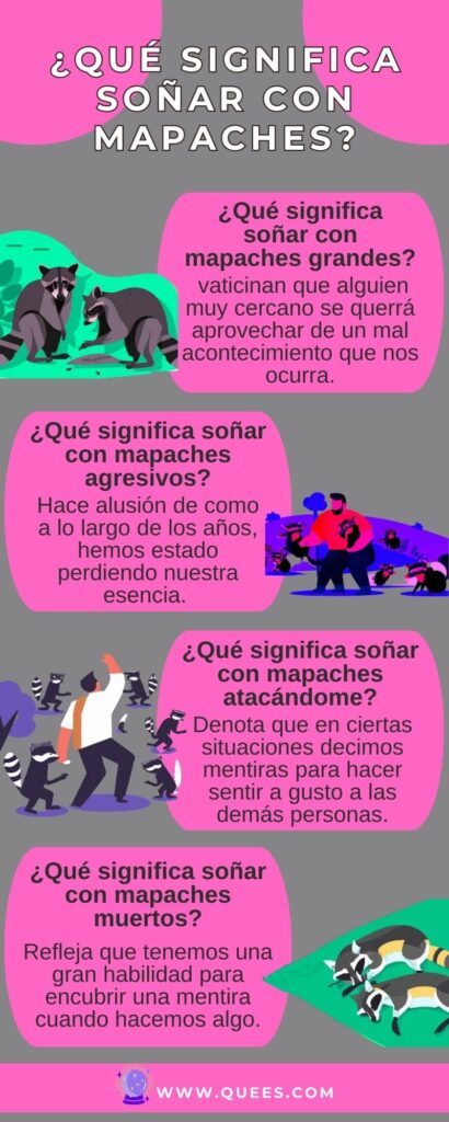 infografia sonar mapaches