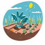 Qué es la agricultura tradicional