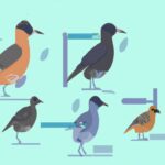 Qué es biología evolutiva