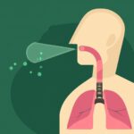 Qué es la eupnea en medicina