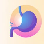 Qué es una glándula